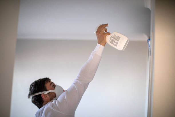 Best Mold Remediation for Specific Building Types in South Zanesville, OH