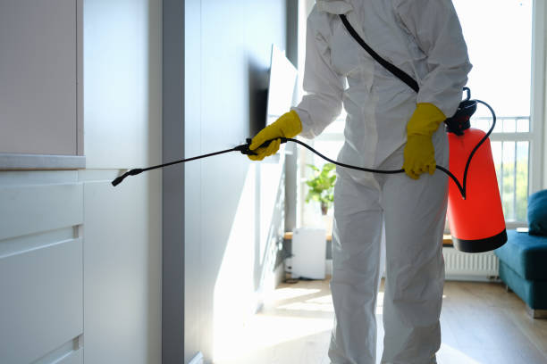 Best Preventive Mold Services in South Zanesville, OH